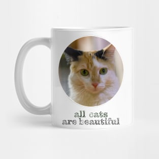 all cats are beautiful Mug